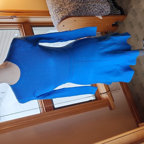 EVER NEW CLEO LONG SLEEVE MINI KNIT DRESS -SIZE 4- BLUE PIGMENT NWT - Picture 6 of 7